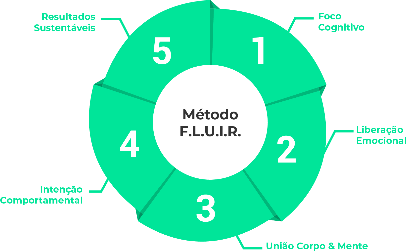 [CCL] [PÁGINA DE VENDAS] [GUIA 5] [JEITO CERTO]